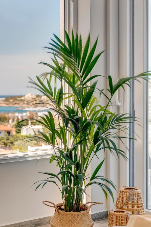 Villa Mare Syros ฟินิกัส ภายนอก รูปภาพ